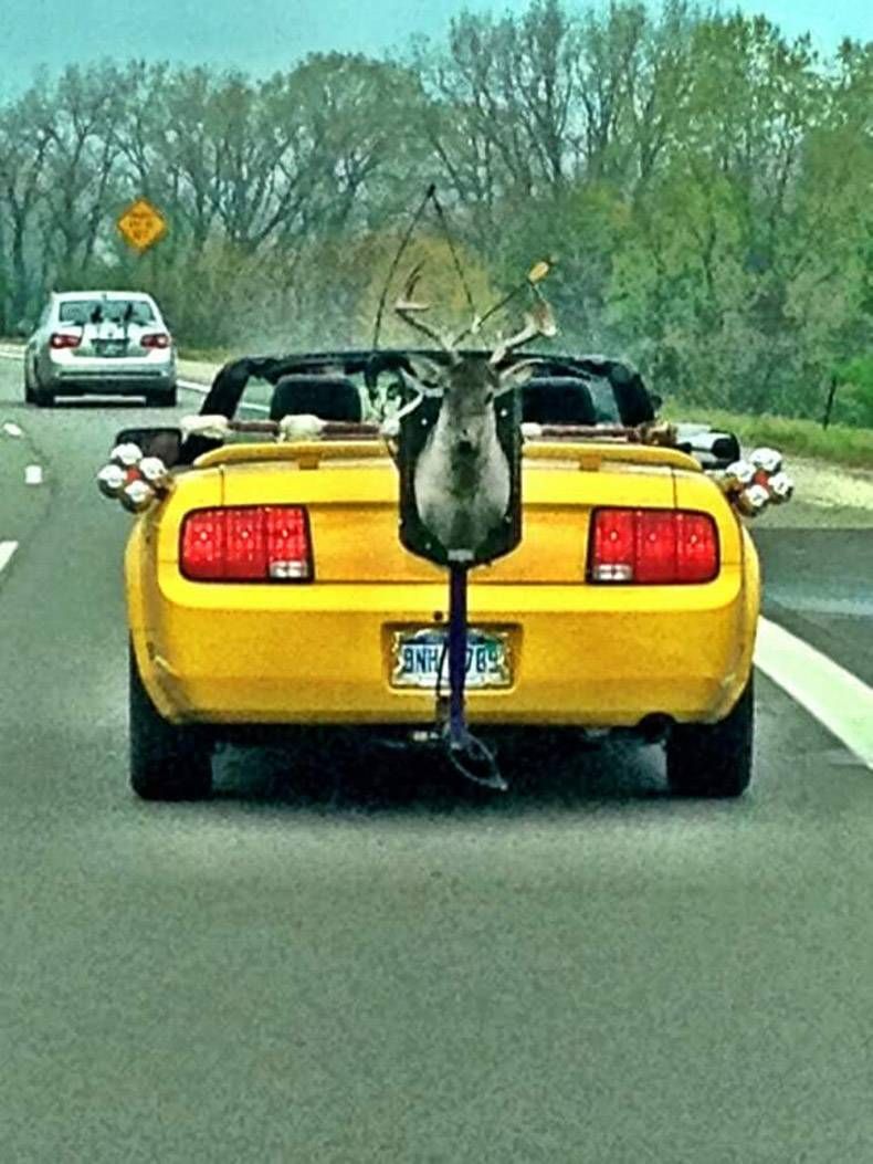 Gewoon een verzameling hilarische foto's #954