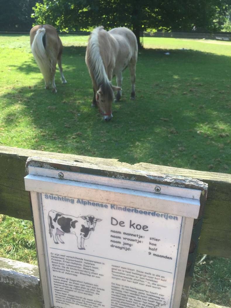 Gewoon een verzameling hilarische foto's #715
