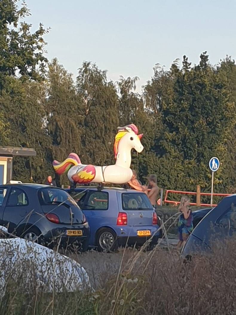 Gewoon een verzameling hilarische foto's #1158