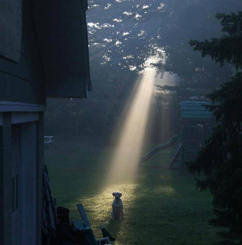Gewoon een verzameling hilarische foto's #969