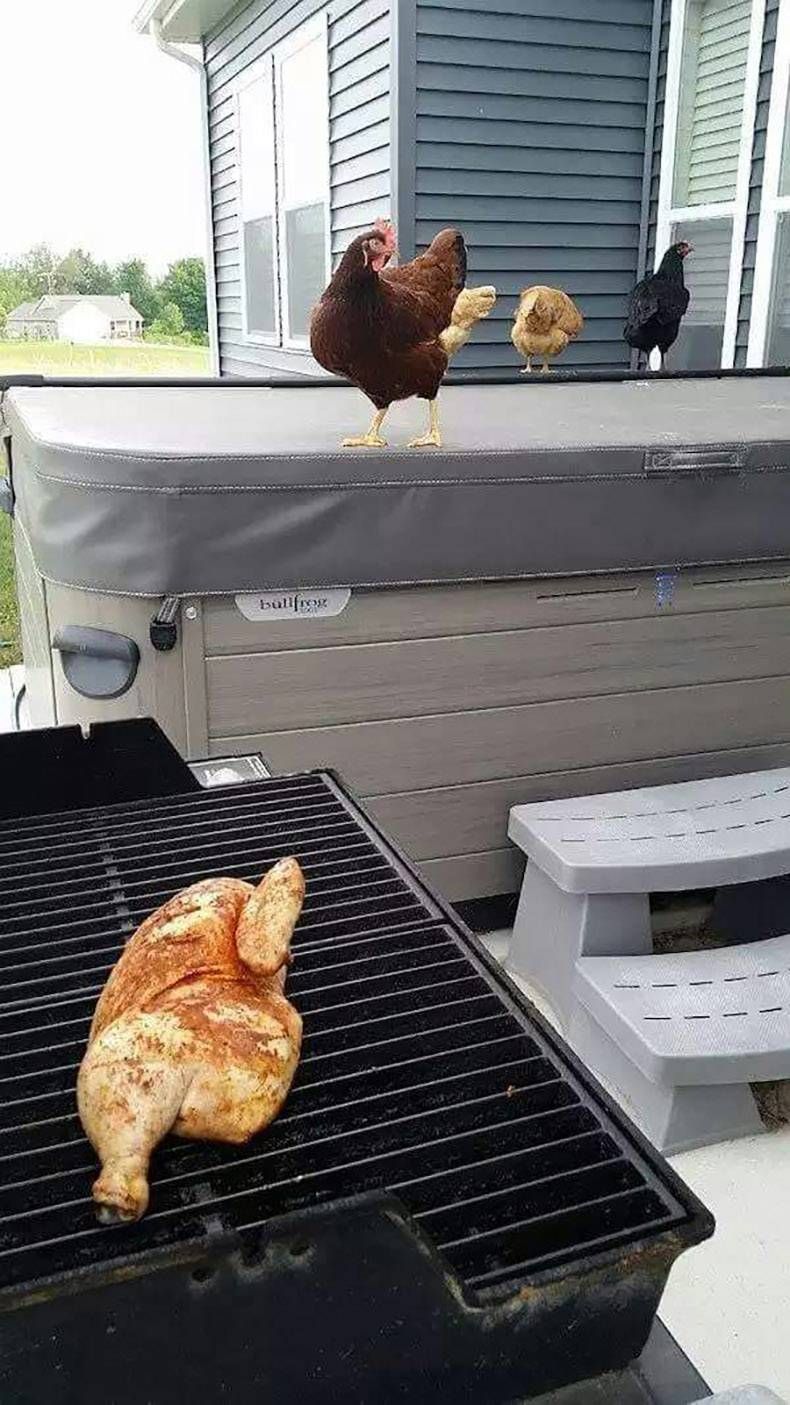 Gewoon een verzameling hilarische foto's #760