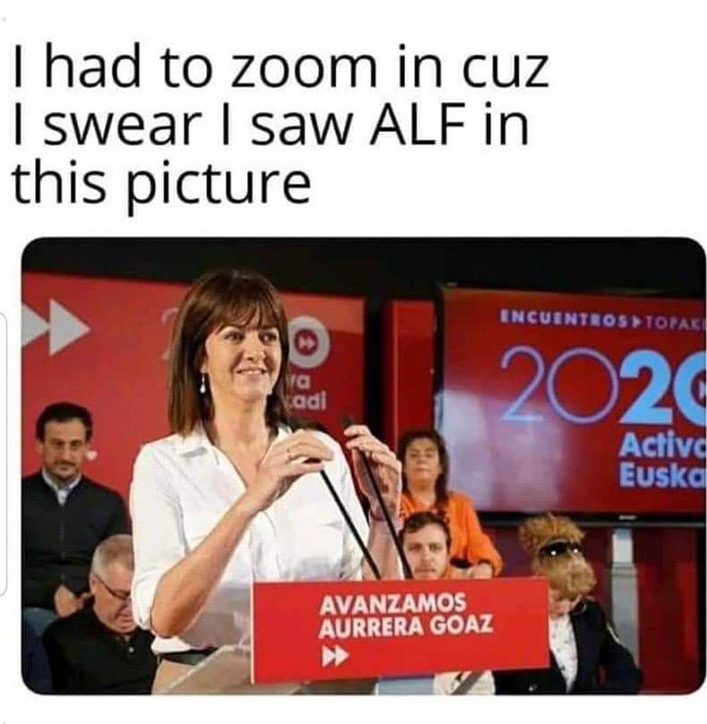 Gewoon een verzameling hilarische foto's #1241