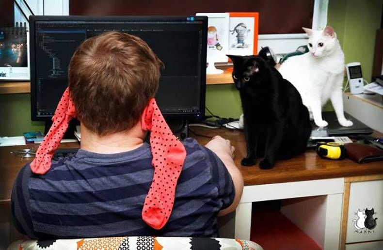 Gewoon een verzameling hilarische foto’s #965