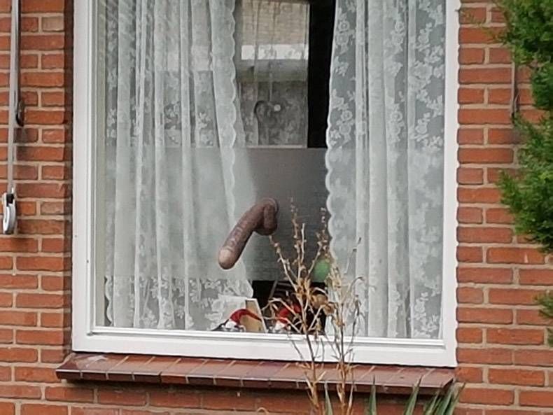 Gewoon een verzameling hilarische foto's #844