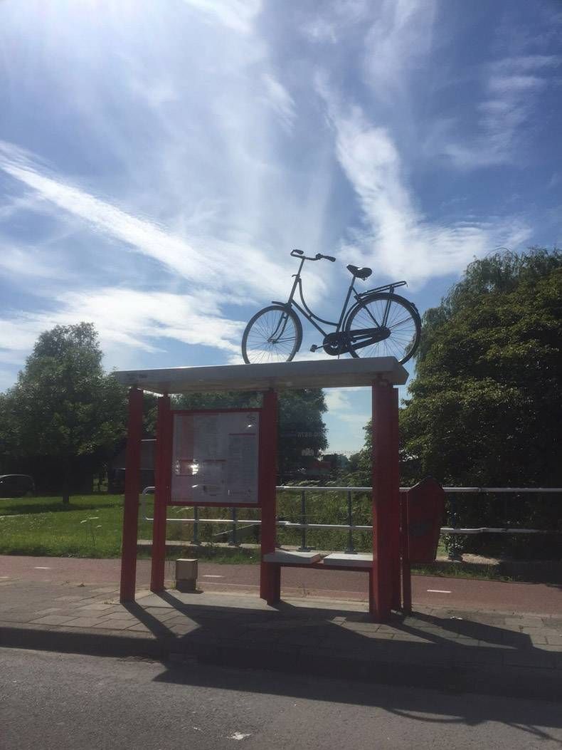 Gewoon een verzameling hilarische foto's #841