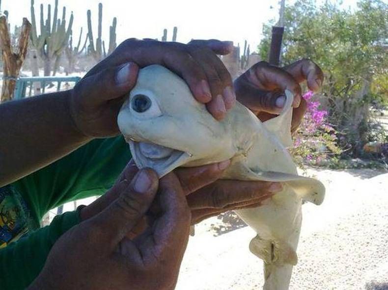 Gewoon een verzameling hilarische foto's #748