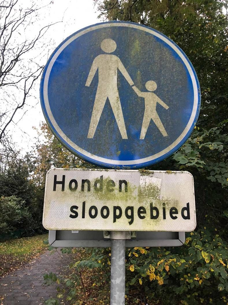 Gewoon een verzameling hilarische foto's #1356
