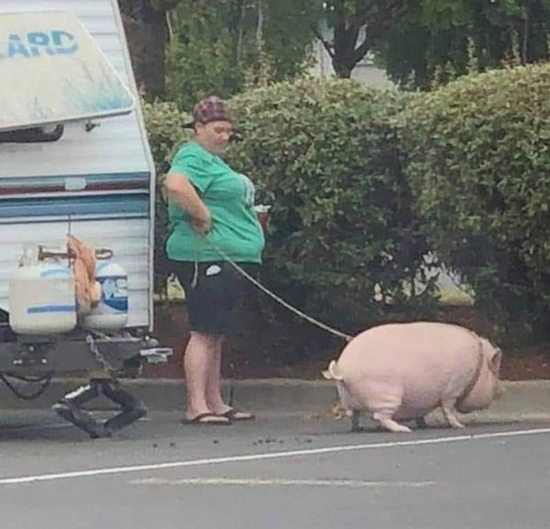 Gewoon een verzameling hilarische foto's #1352