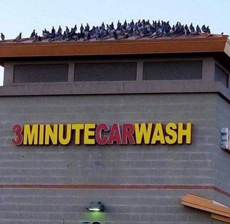 Gewoon een verzameling hilarische foto's #1226