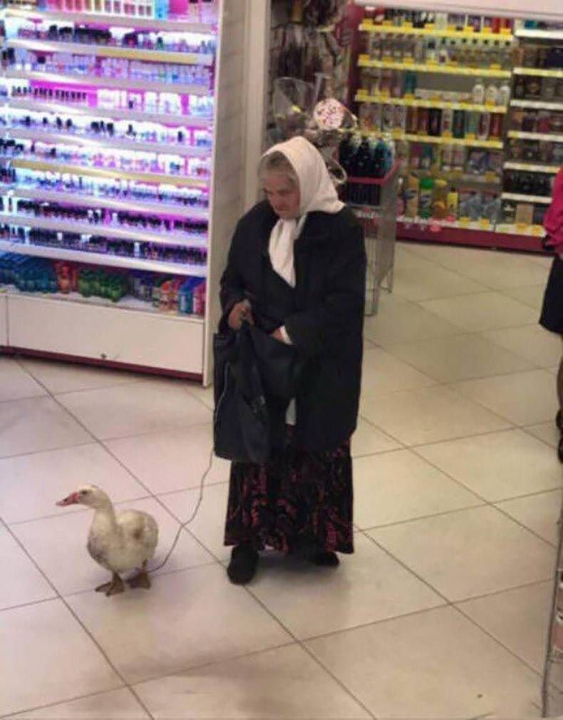 Gewoon een verzameling hilarische foto's #1172