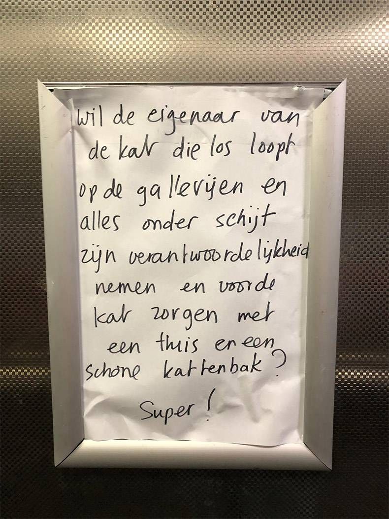 Gewoon een verzameling hilarische foto's #1065