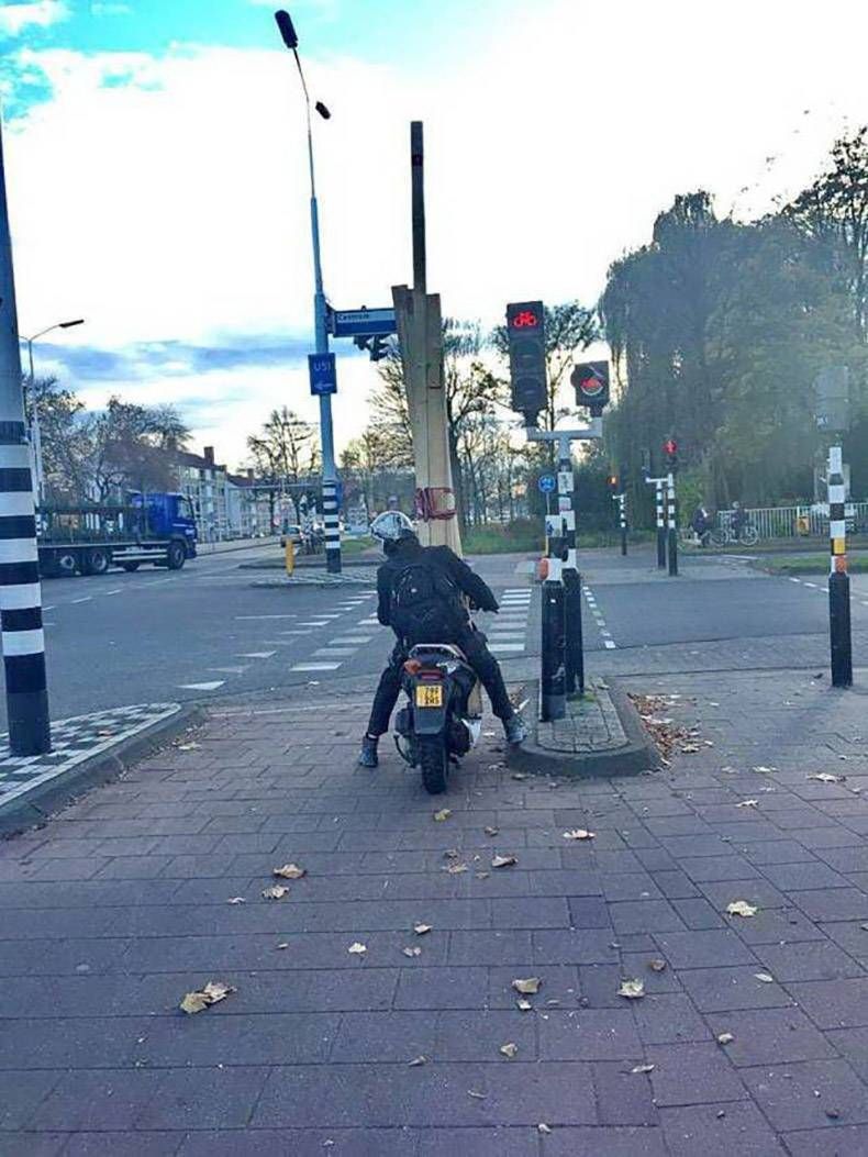 Gewoon een verzameling hilarische foto's #990