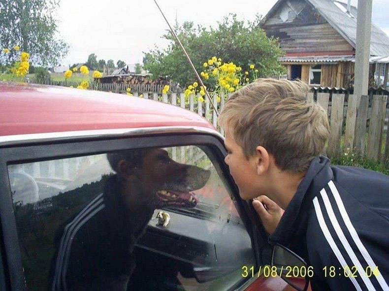 Gewoon een verzameling hilarische foto's #1220