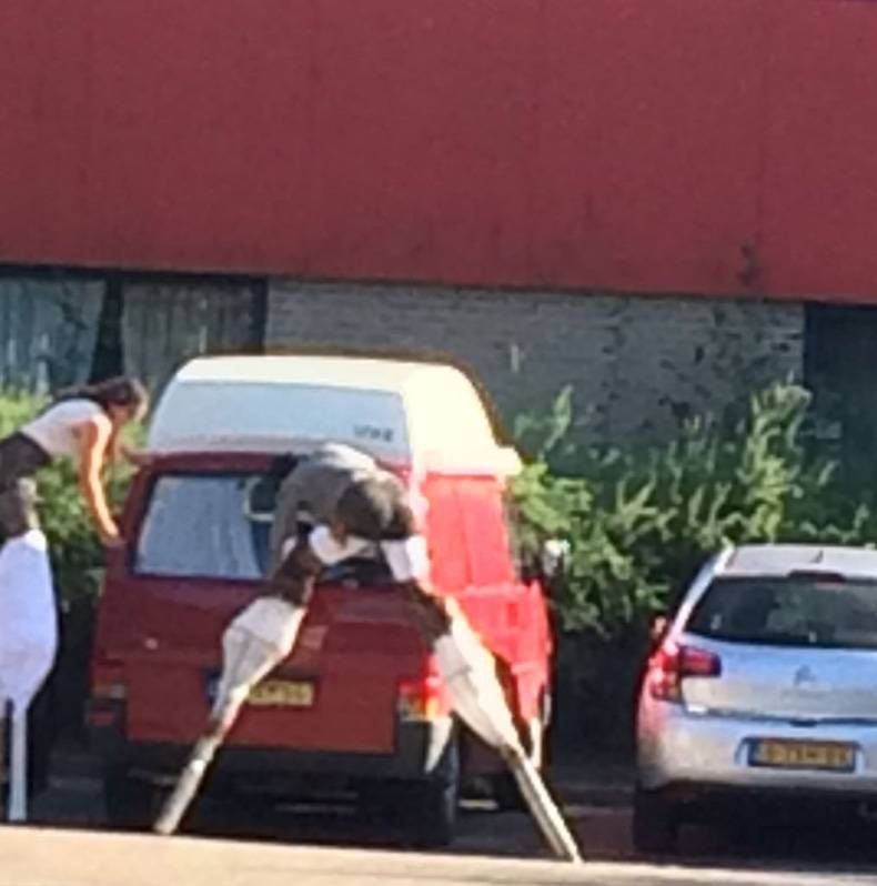 Gewoon een verzameling hilarische foto's #715