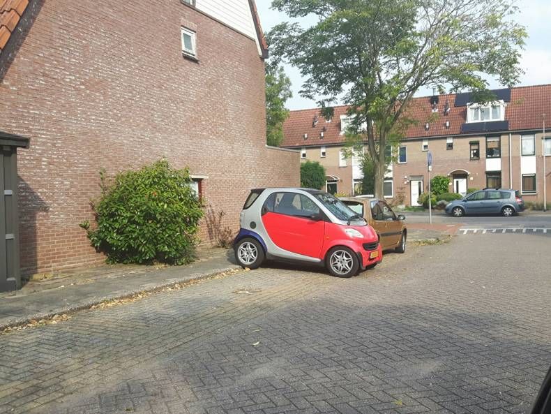 Gewoon een verzameling hilarische foto's #713