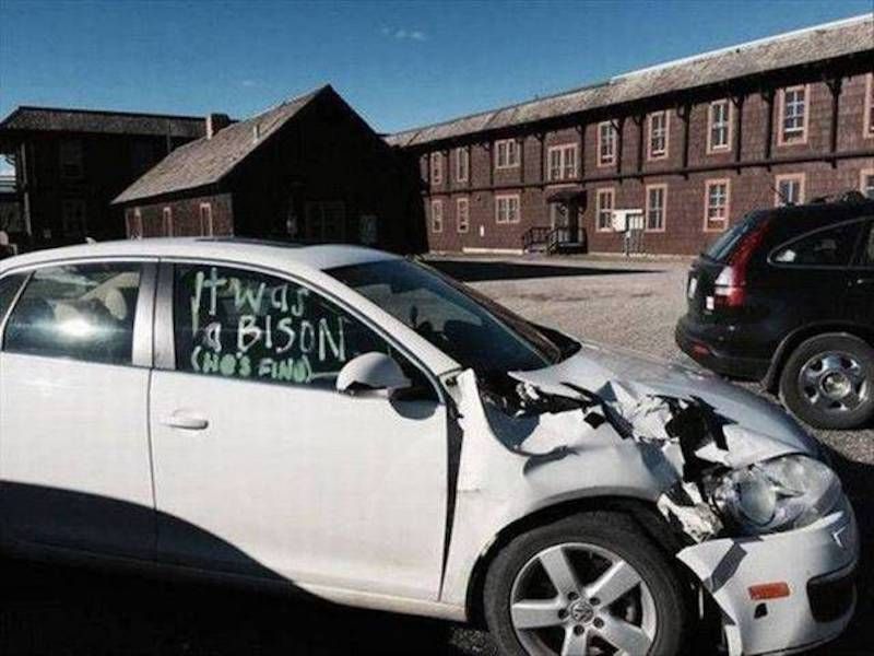 Gewoon een verzameling hilarische foto’s #951