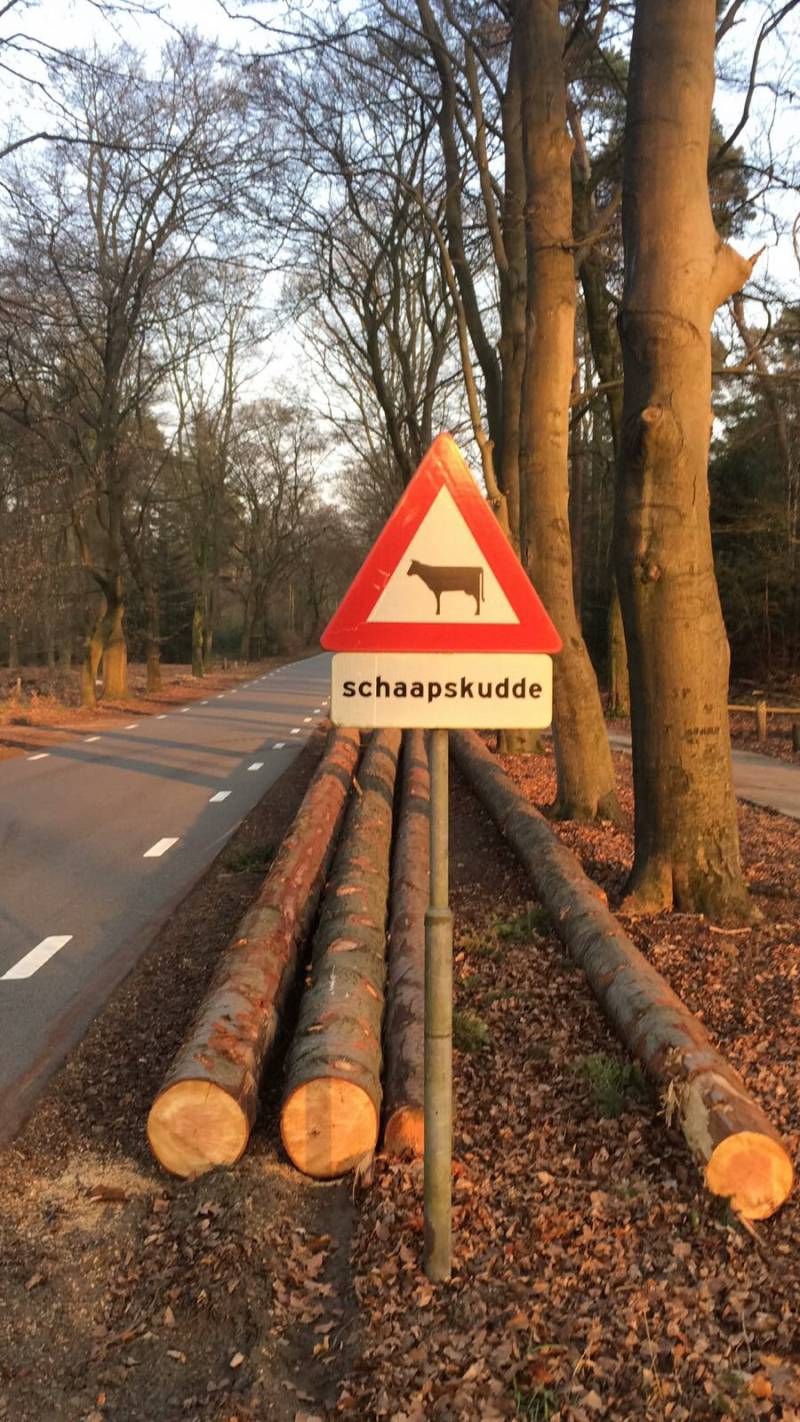 Gewoon een verzameling hilarische foto’s #797