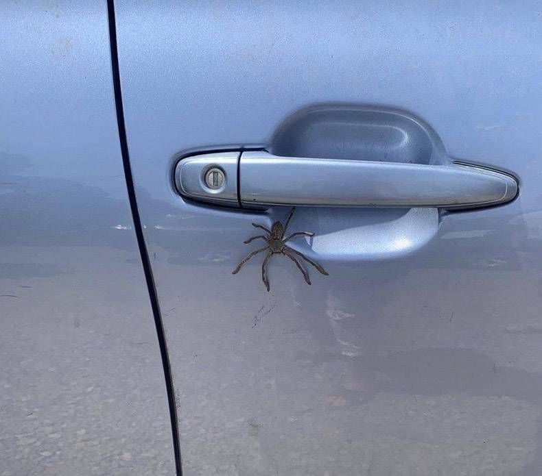 Gewoon een verzameling hilarische foto's #1081