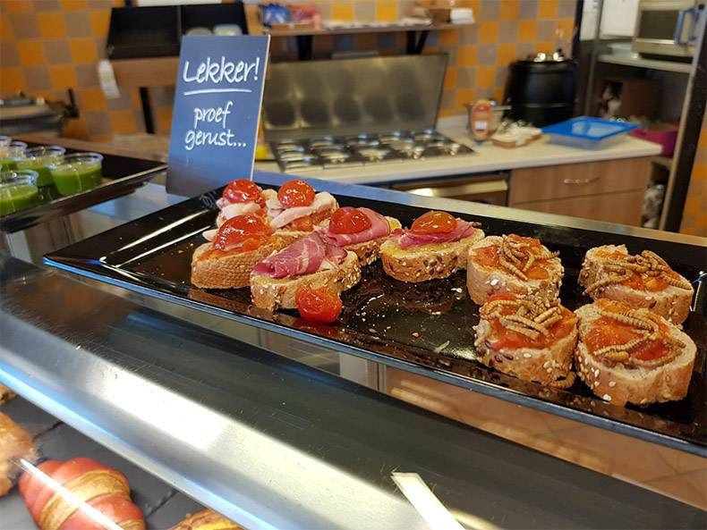 Gewoon een verzameling hilarische foto's #1025