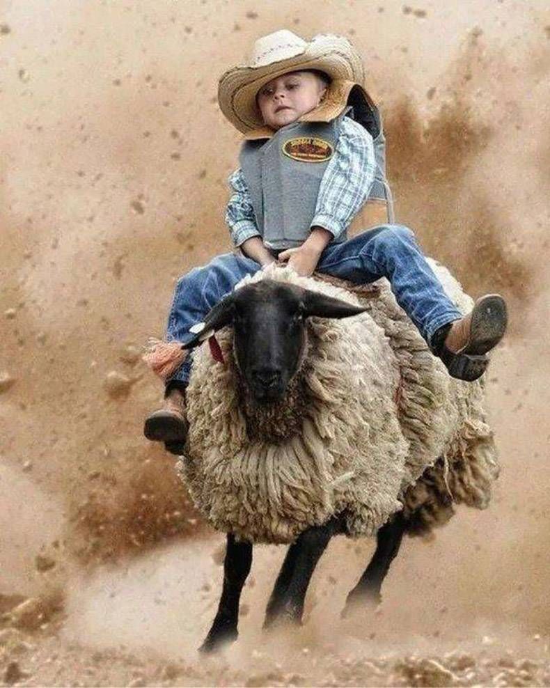 Gewoon een verzameling hilarische foto's #985