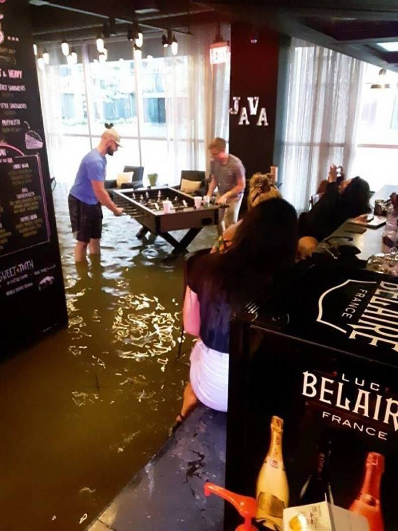 Gewoon een verzameling hilarische foto's #1154