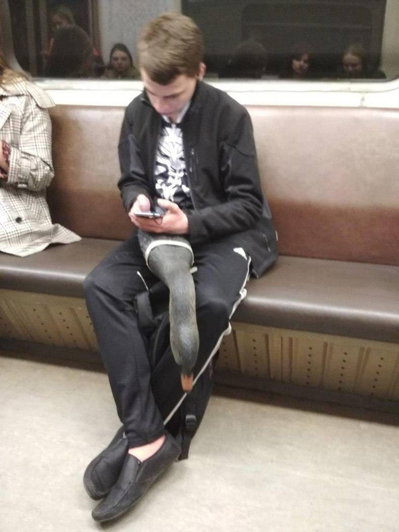 Gewoon een verzameling hilarische foto's #989