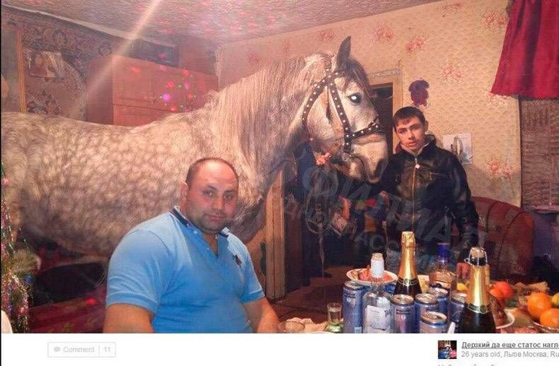 Gewoon een verzameling hilarische foto's #808