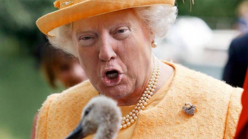 Gewoon een verzameling hilarische foto's #748
