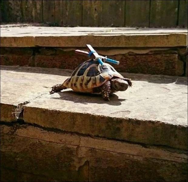 Gewoon een verzameling hilarische foto’s #797