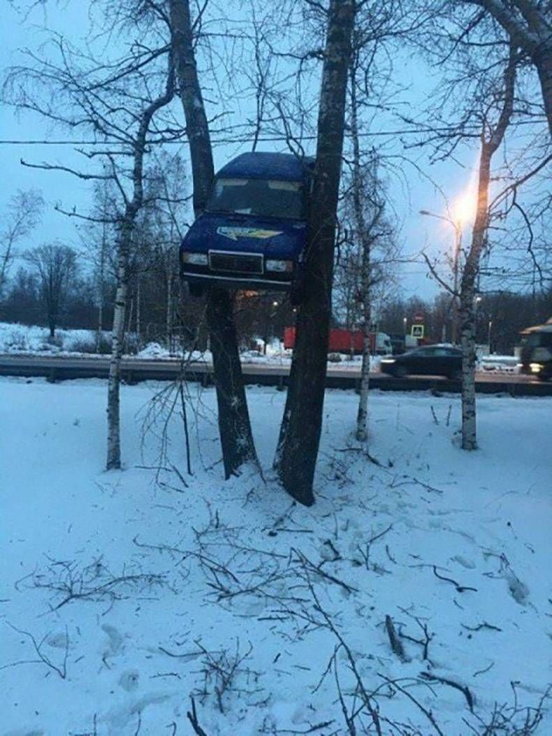 Gewoon een verzameling hilarische foto's #1060