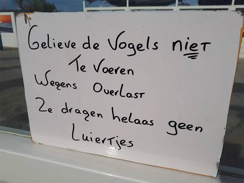 Gewoon een verzameling hilarische foto's #1006