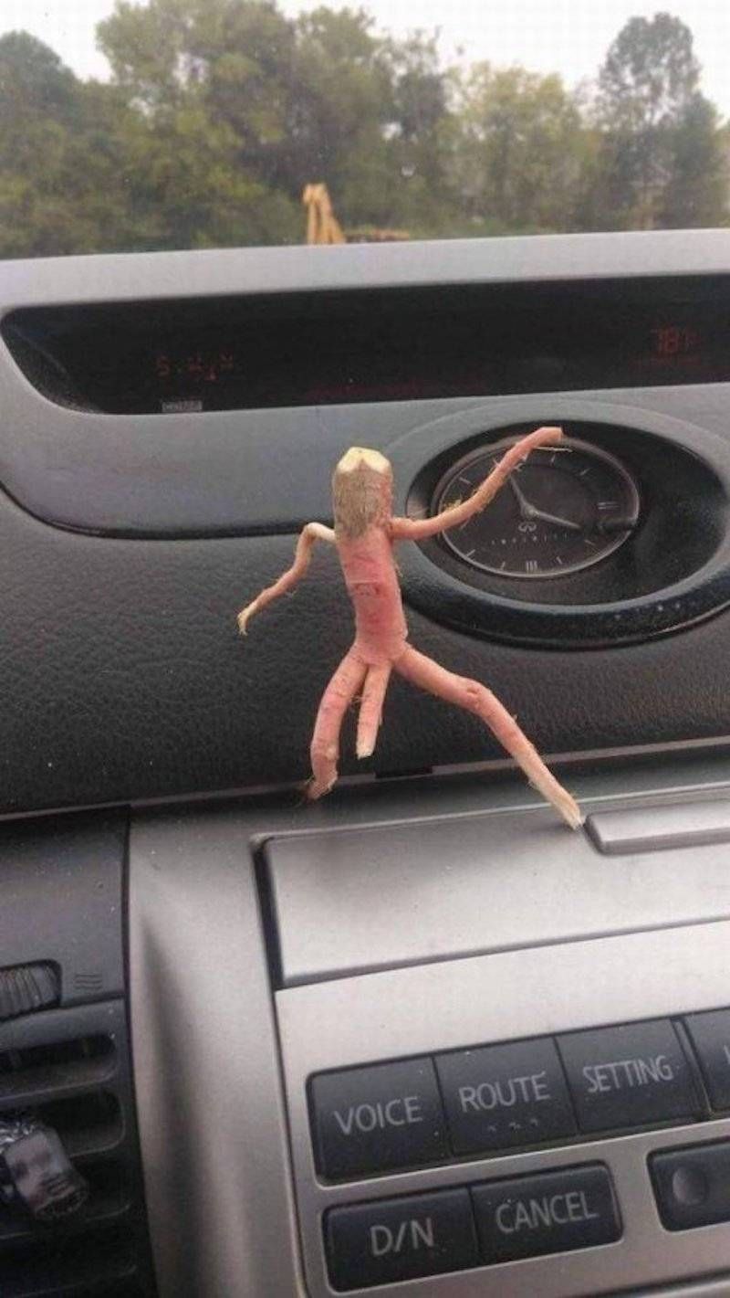 Gewoon een verzameling hilarische foto’s #873