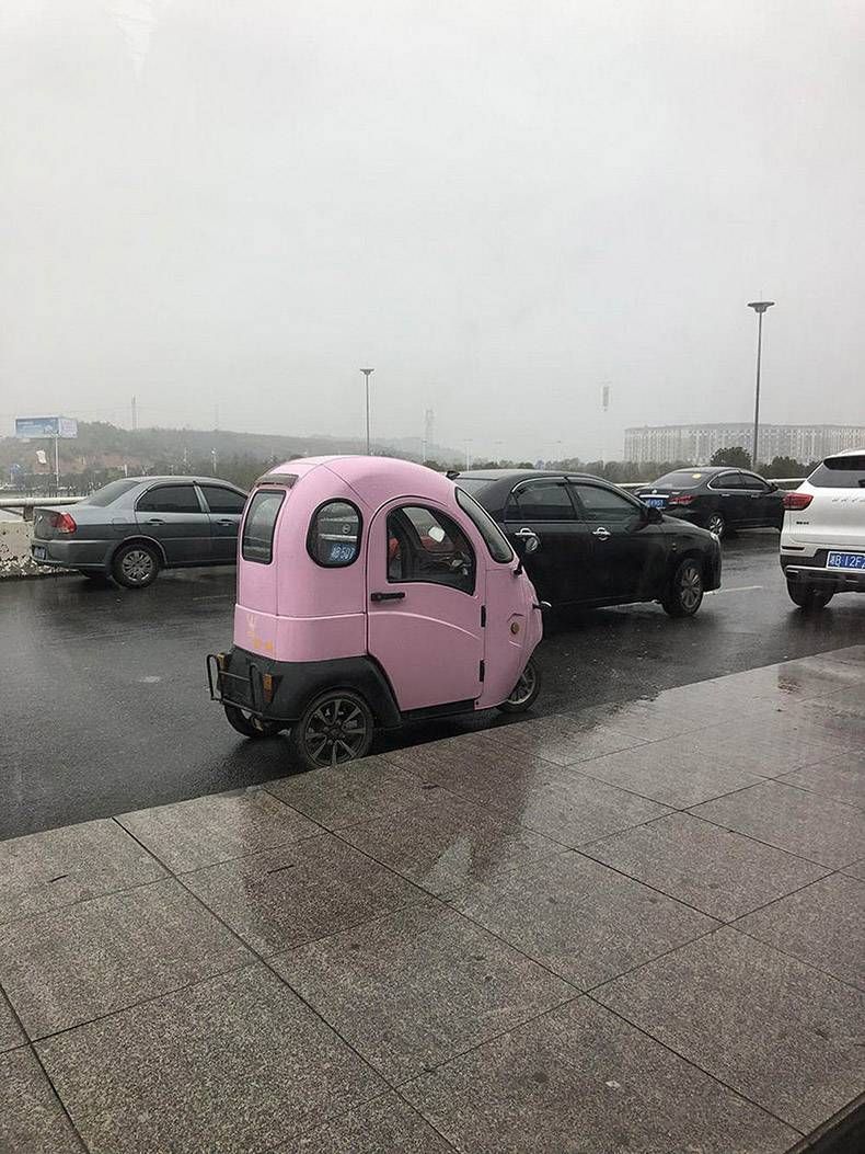 Gewoon een verzameling hilarische foto's #1162