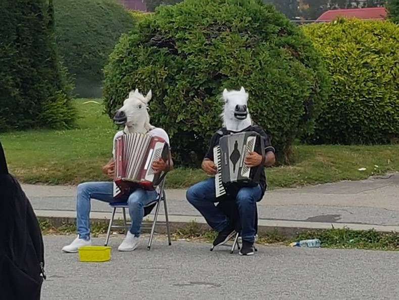 Gewoon een verzameling hilarische foto's #1160