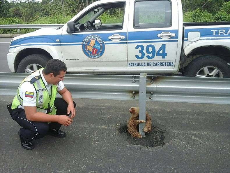 Gewoon een verzameling hilarische foto's #855