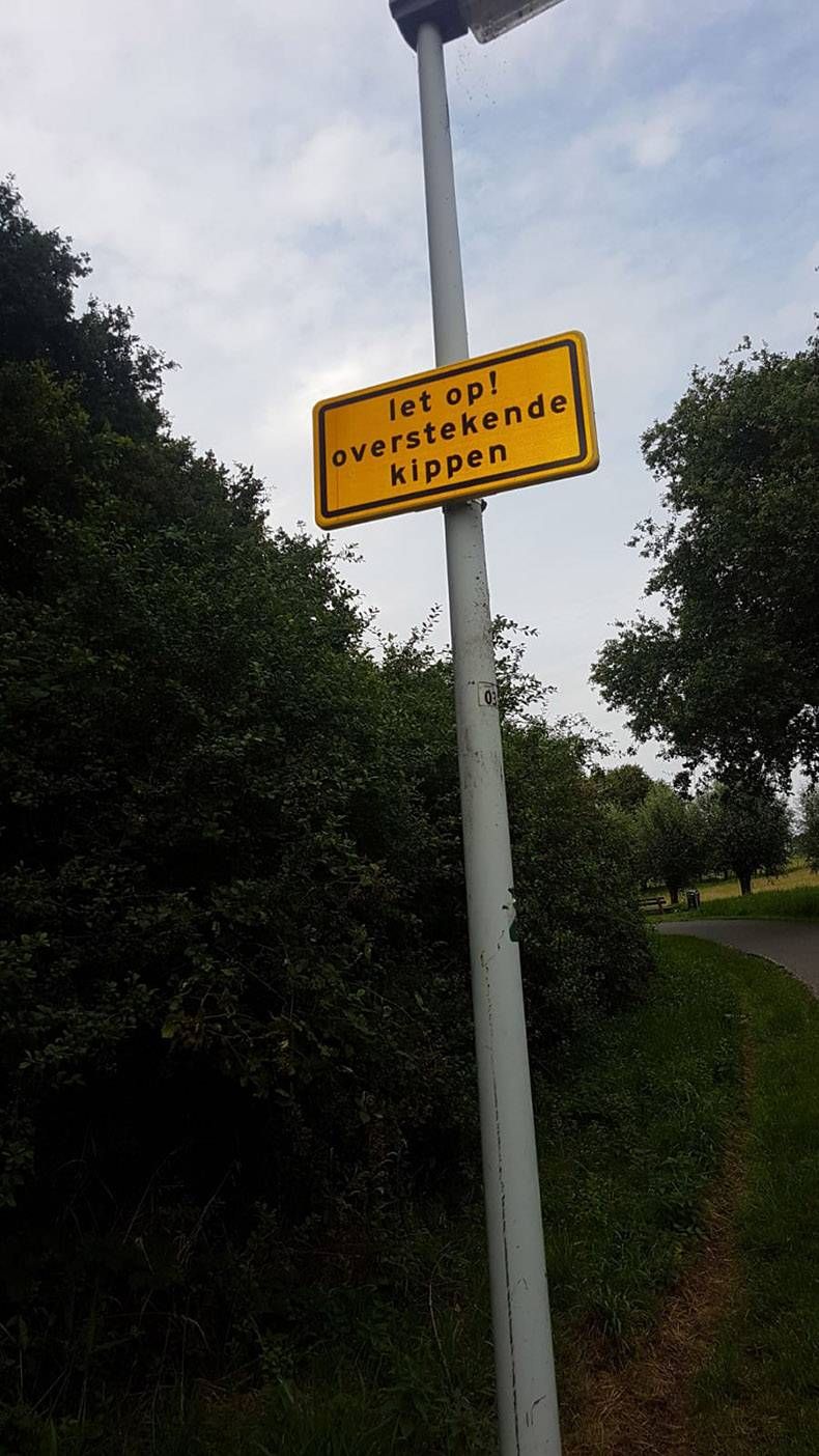 Gewoon een verzameling hilarische foto's #1156