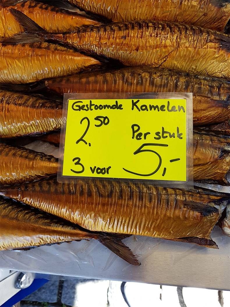 Gewoon een verzameling hilarische foto's #979