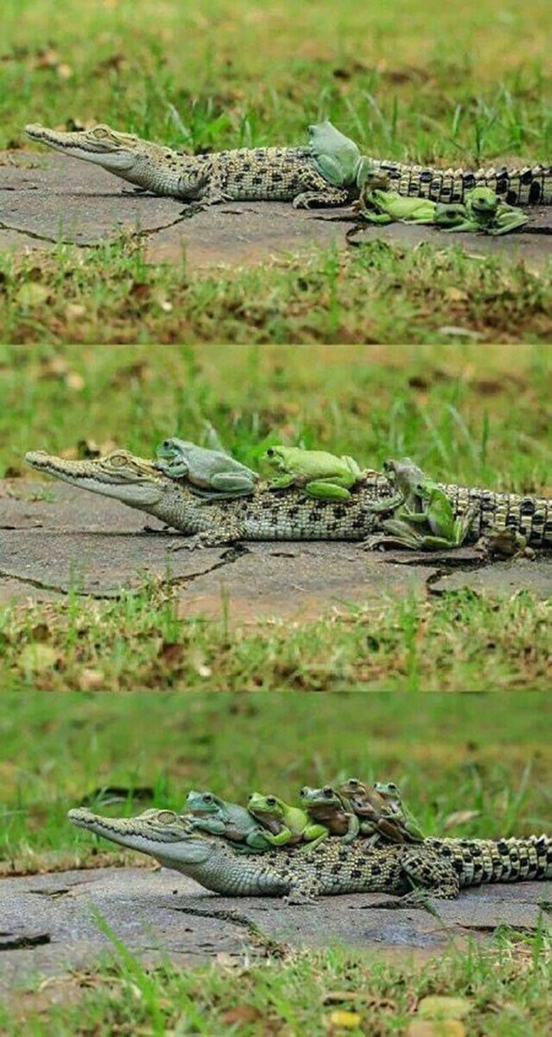 Gewoon een verzameling hilarische foto's #970