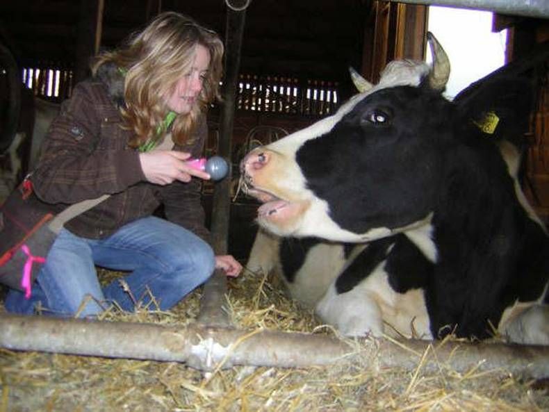 Gewoon een verzameling hilarische foto's #713