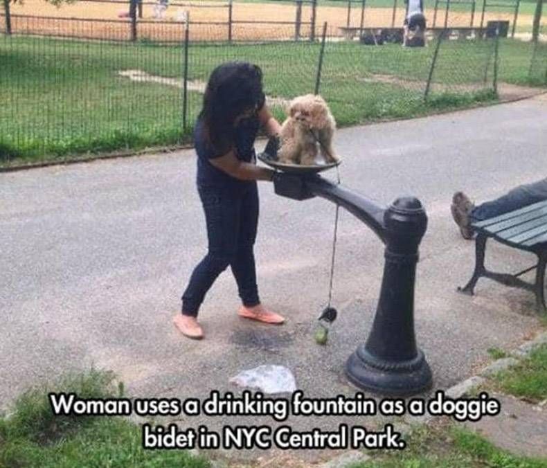 Gewoon een verzameling hilarische foto's #1039