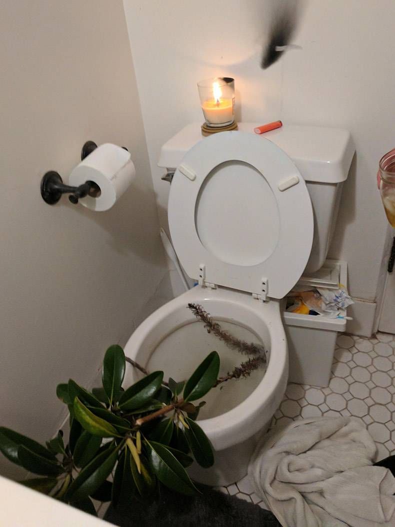 Gewoon een verzameling hilarische foto's #813