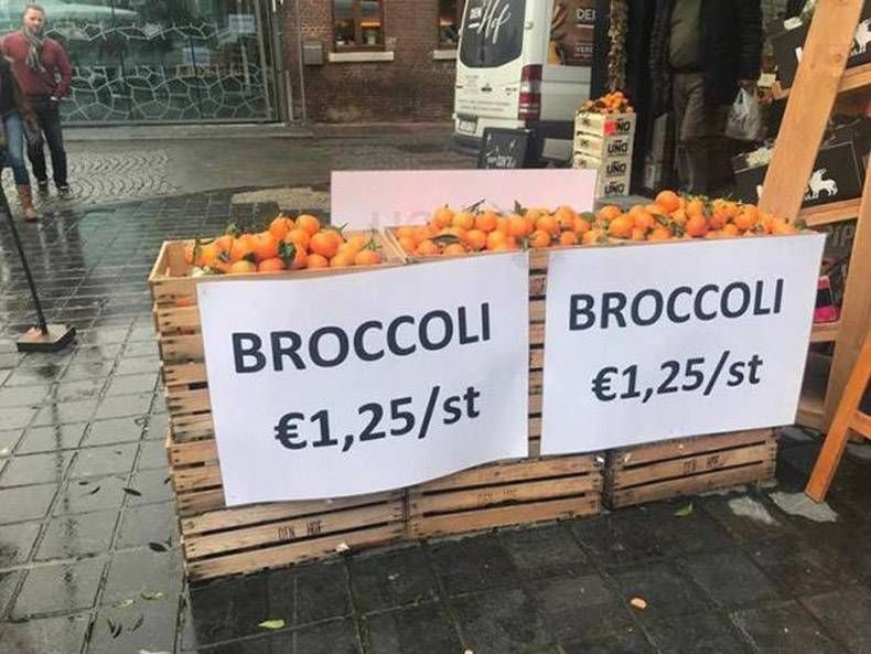 Gewoon een verzameling hilarische foto's #1072