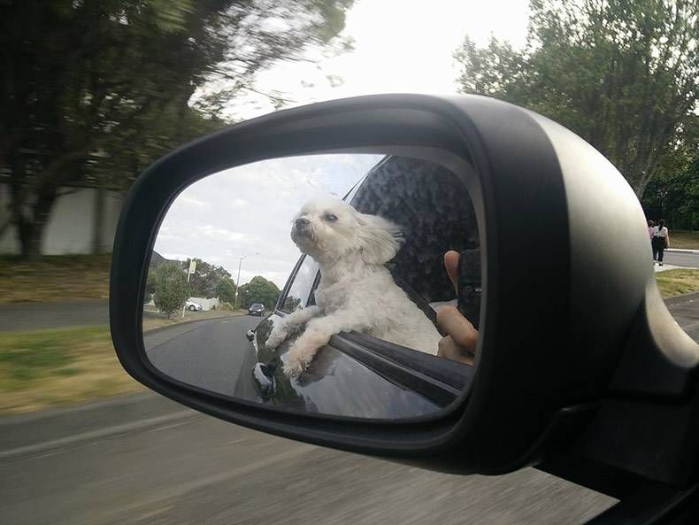 Gewoon een verzameling hilarische foto's #914