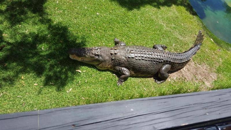 Gewoon een verzameling hilarische foto’s #793