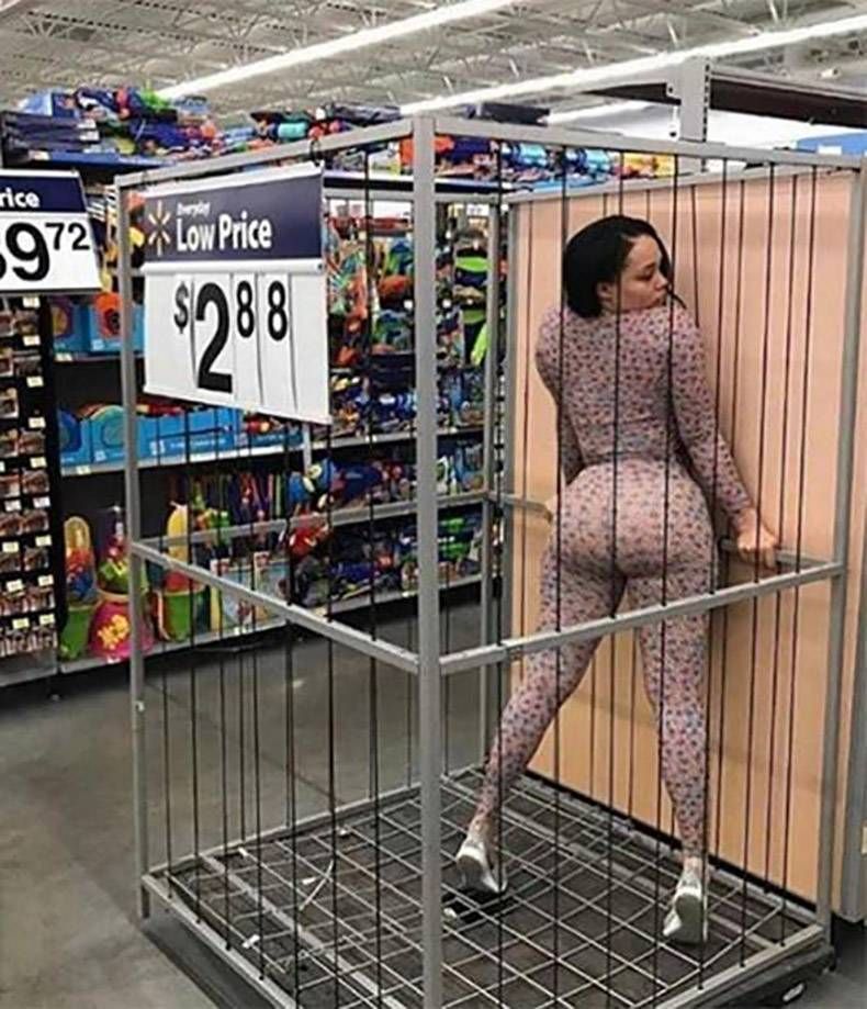Gewoon een verzameling hilarische foto's #932