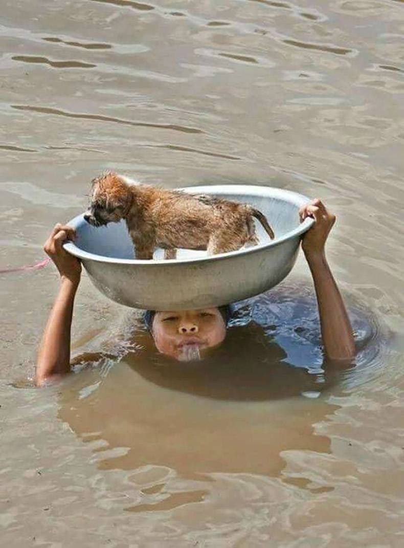 Gewoon een verzameling hilarische foto's #985
