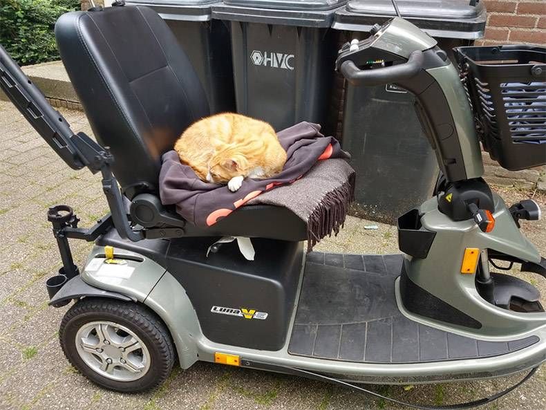 Gewoon een verzameling hilarische foto's #1144