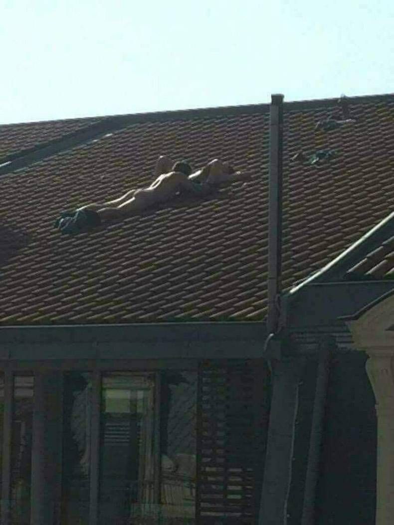 Gewoon een verzameling hilarische foto's #872