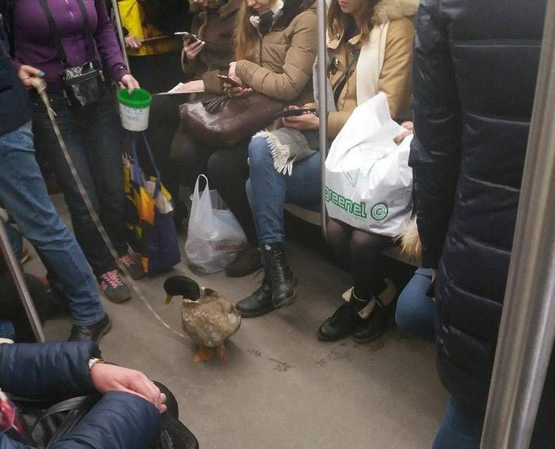 Gewoon een verzameling hilarische foto's #941