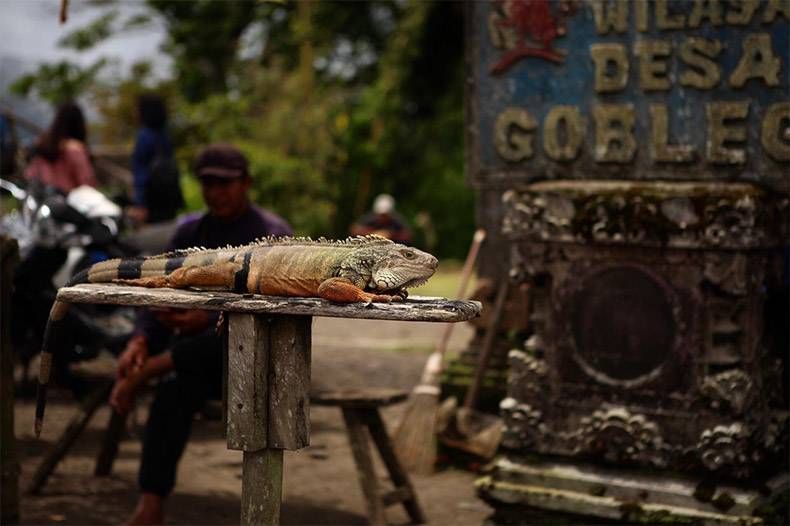 Gewoon een verzameling hilarische foto's #1065